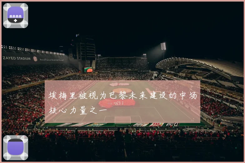 埃梅里被视为巴黎未来建设的中场核心力量之一