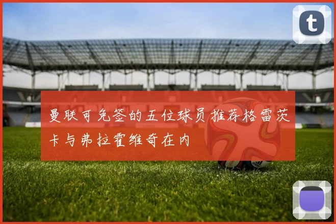 曼联可免签的五位球员推荐格雷茨卡与弗拉霍维奇在内