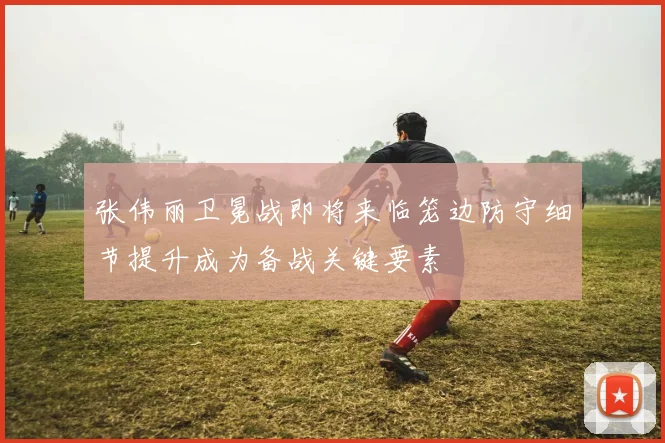 张伟丽卫冕战即将来临笼边防守细节提升成为备战关键要素